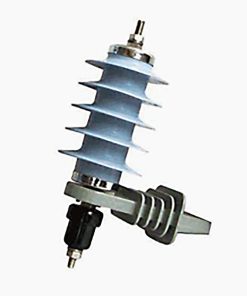 Rebum stet clita kasd sit amet